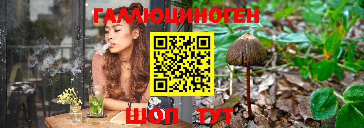 Псилоцибиновые грибы Psilocybe  Псилоцибиновые грибы мухоморы  Вход с VPN  сколько стоит  Сальск 